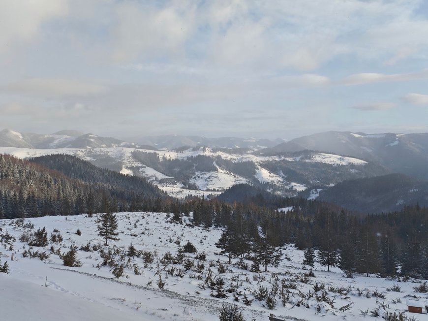 Краєвиди Карпат