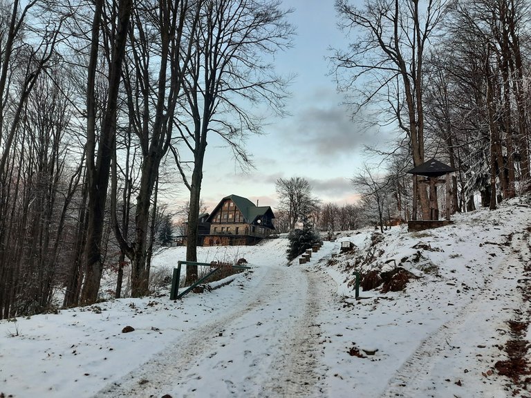 Притулок Явірник